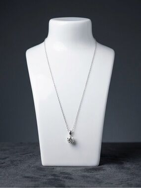 Sterling Silver White Moissanite Pendant Necklace‼️